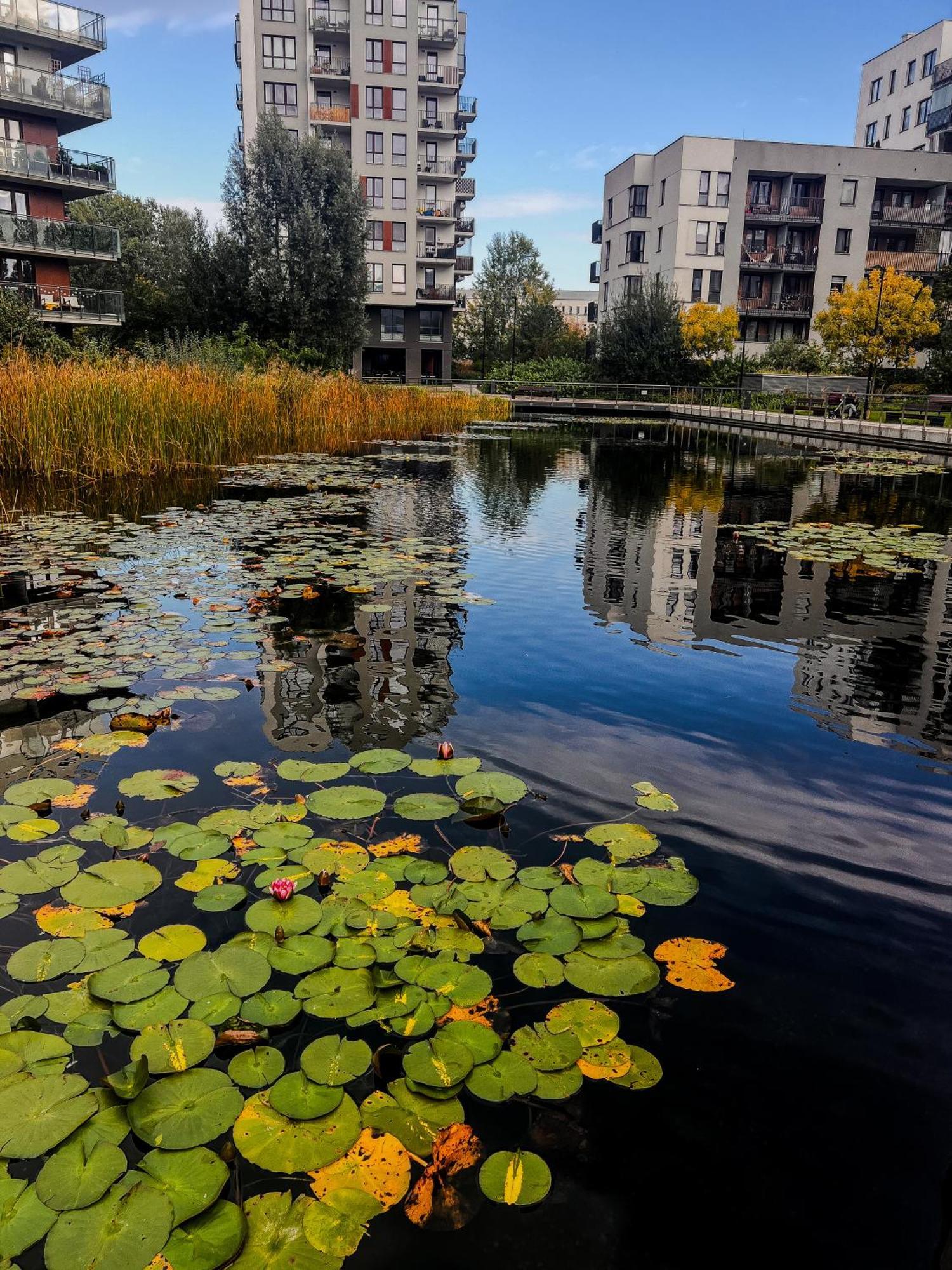 Appartement Lake Park Apartament With Free Parking Airport Netflix à Varsovie Extérieur photo